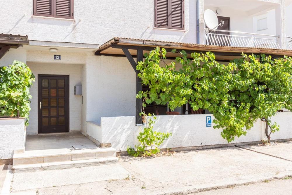 Apartments Vladan With Terrace باشْكا المظهر الخارجي الصورة